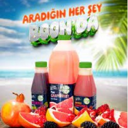 BOON FRESH 1.5LT NAR SUYU 