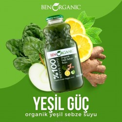 BENORGANIC %100 MEYVE SUYU 1LT YESIL SEBZELER