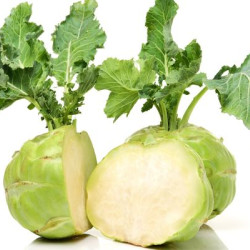 GULUMBRA