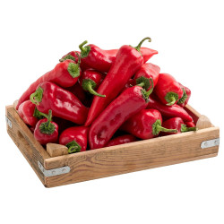 BİBER KAPYA KG.